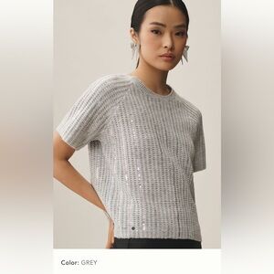 NWT new Anthropologie endless rose short sleeve sequins sweater top small gray